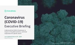 Coronavirus (COVID-19) - Executive Briefing - the City of ...