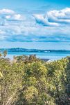 ALTOGE THER ALTOGETHER - Waiheke Gulf News