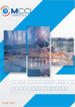 AN ANALYSIS OF THE BUDGET 2019/2020 - Mauritius Chamber of ...