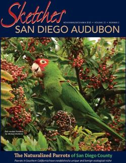 The Naturalized Parrots of San Diego County - Parrots in Southern California have established a unique and benign ecological niche