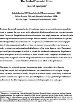 THE GLOBAL FINANCIAL CRISIS PROJECT SYNOPSIS1