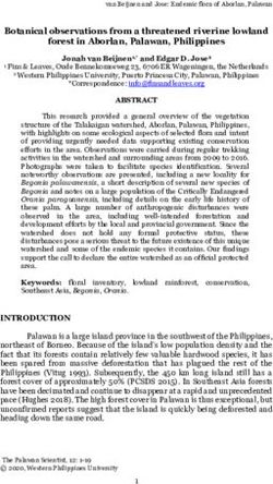 Botanical observations from a threatened riverine lowland forest in Aborlan, Palawan, Philippines