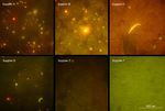 Evaluation and optimisation of extraction methods suitable for the analysis of microplastic particles occurring in the edible part of seafood - EFSA