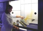 Evaluation and optimisation of extraction methods suitable for the analysis of microplastic particles occurring in the edible part of seafood - EFSA