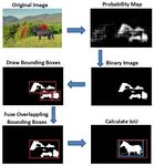 Boundary-based Image Forgery Detection by Fast Shallow CNN