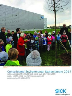 Consolidated Environmental Statemement 2017 - SICK