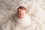 2020 Newborn Pricing and Info Guide - Melissa Gauthier ...