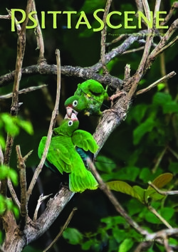 Magazine of the - Summer 2020 - World Parrot Trust