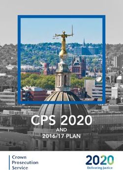 CPS 2020 2016/17 PLAN - AND - The Crown Prosecution Service