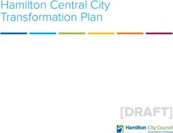Hamilton Central City Transformation Plan - Hamilton City Council