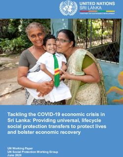 Tackling the COVID-19 economic crisis in Sri Lanka: Providing universal, lifecycle social protection transfers to protect lives and bolster ...