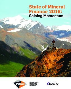 State of Mineral Finance 2018: Gaining Momentum - PROSPECTORS & DEVELOPERS ASSOCIATION OF CANADA - Prospectors & Developers Association ...