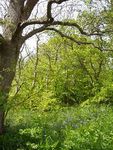 Vogrie Country Park - Management Plan 2018-2023 - Midlothian Council