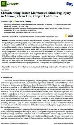 Characterizing Brown Marmorated Stink Bug Injury in Almond, a New Host Crop in California - MDPI