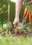 Becoming a Good Food Nation - Recipe for Success: Scotland's National Food & Drink Policy