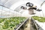 AGRITECH IN BRAZIL Opportunities for Swiss SME's in the country's driving sector - January 2021 - Switzerland ...