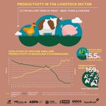 AGRITECH IN BRAZIL Opportunities for Swiss SME's in the country's driving sector - January 2021 - Switzerland ...