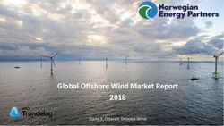 Global Offshore Wind Market Report 2018 - David S. Ottesen, Director Wind - NORWEP