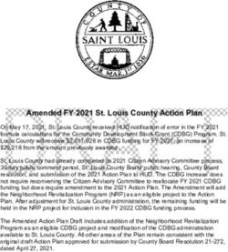Amended FY 2021 St. Louis County Action Plan