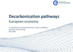 Decarbonization pathways - European economy EU electrification and decarbonization scenario modelling Synthesis of key findings May 2018 - Energi ...