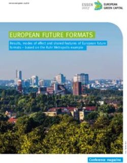EUROPEAN FUTURE FORMATS - Results, modes of effect and shared features of European future formats - based on the Ruhr Metropolis example