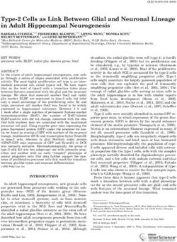 Type-2 Cells as Link Between Glial and Neuronal Lineage in Adult Hippocampal Neurogenesis