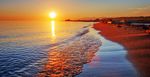 New Treatments in Chronic Liver Disease - 35TH - MAIN CONFERENCE: MARCH 20-21, 2021 - Scripps Health