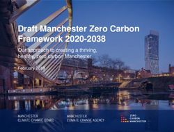 Draft Manchester Zero Carbon Framework 2020-2038 - Our approach to creating a thriving, healthy, zero carbon Manchester February 2019 - Manchester ...