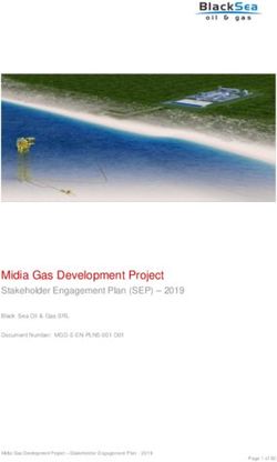 Midia Gas Development Project - Stakeholder Engagement Plan (SEP) 2019 - EBRD