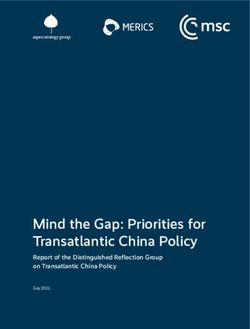 Mind the Gap: Priorities for Transatlantic China Policy - Report of the Distinguished Reflection Group on Transatlantic China Policy
