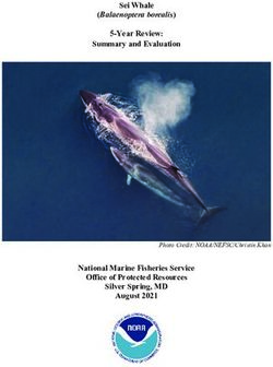 Sei Whale (Balaenoptera borealis) - 5-Year Review: Summary and Evaluation - National Marine Fisheries Service - the NOAA ...
