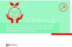 THE IMPORTANCE OF SOCIAL PROTECTION FOR CLIMATE CHANGE MITIGATION IN LMICS: SUCCESS STORIES AND OPPORTUNITIES FOR THE FUTURE