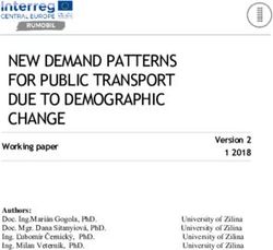 NEW DEMAND PATTERNS FOR PUBLIC TRANSPORT DUE TO DEMOGRAPHIC CHANGE