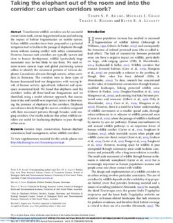 Taking the elephant out of the room and into the corridor: can urban corridors work?
