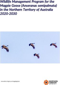 Wildlife Management Program for the Magpie Goose (Anseranas semipalmata) in the Northern Territory of Australia 2020-2030 ...