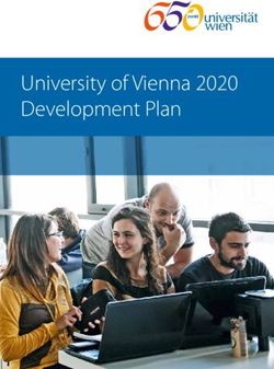 University of Vienna 2020 Development Plan
