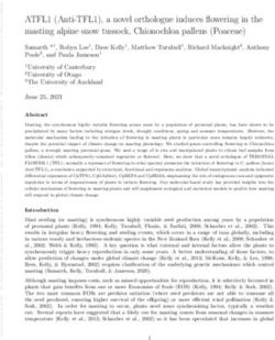 ATFL1 (Anti-TFL1), a novel orthologue induces flowering in the masting alpine snow tussock, Chionochloa pallens (Poaceae) - Authorea