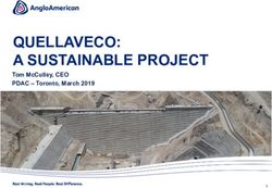 QUELLAVECO: A SUSTAINABLE PROJECT - TOM MCCULLEY, CEO PDAC - TORONTO, MARCH 2019 - ANGLO AMERICAN
