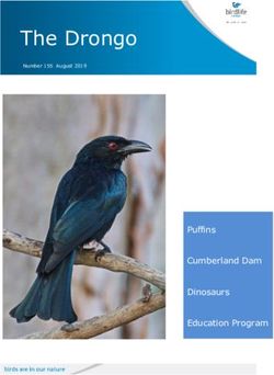 The Drongo Howe - Birdlife Action Network