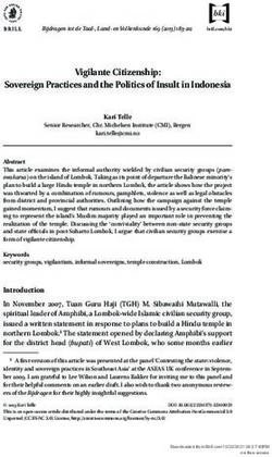 Vigilante Citizenship: Sovereign Practices and the Politics of Insult in Indonesia