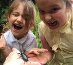 Reversing the Decline of Insects - A new report from the Wildlife Trusts - Lead Author: Professor Dave Goulson, University of Sussex