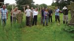 Reversing the Decline of Insects - A new report from the Wildlife Trusts - Lead Author: Professor Dave Goulson, University of Sussex