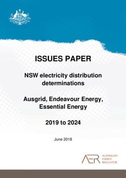 ISSUES PAPER NSW electricity distribution determinations Ausgrid, Endeavour Energy, Essential Energy 2019 to 2024 - Australian Energy Regulator