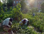 PROTECTING COMMUNITIES - Responding to the impact of urban drug markets WALTER KEMP - Global Initiative against ...