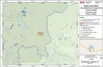 Recovery Strategy for the Dusky Dune Moth (Copablepharon longipenne) in Canada Dusky Dune Moth - Species at Risk Act - Species at ...