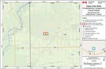 Recovery Strategy for the Dusky Dune Moth (Copablepharon longipenne) in Canada Dusky Dune Moth - Species at Risk Act - Species at ...