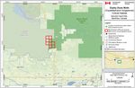 Recovery Strategy for the Dusky Dune Moth (Copablepharon longipenne) in Canada Dusky Dune Moth - Species at Risk Act - Species at ...