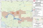 Recovery Strategy for the Dusky Dune Moth (Copablepharon longipenne) in Canada Dusky Dune Moth - Species at Risk Act - Species at ...