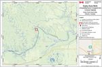 Recovery Strategy for the Dusky Dune Moth (Copablepharon longipenne) in Canada Dusky Dune Moth - Species at Risk Act - Species at ...