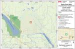 Recovery Strategy for the Dusky Dune Moth (Copablepharon longipenne) in Canada Dusky Dune Moth - Species at Risk Act - Species at ...